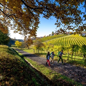 Alpenverein OEAV.CZ Steiermark