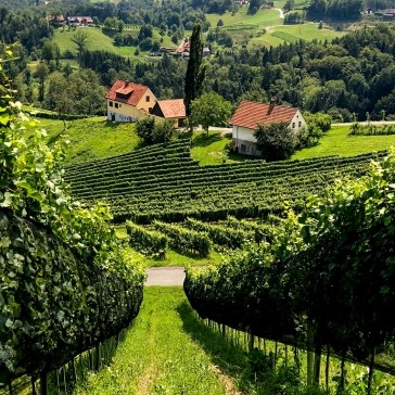 Alpenverein OEAV.CZ Steiermark