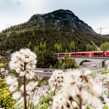 Rhétská dráha - oeav - alpenverein