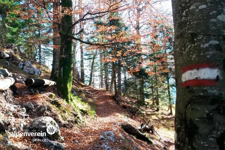 Příroda a kultura jezera Attersee I Alpenverein OEAV.CZ